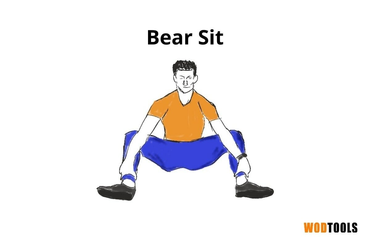 bear sit pose