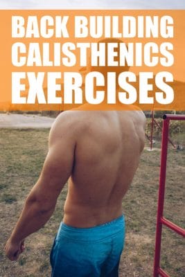 the best back building calisthenics exercises