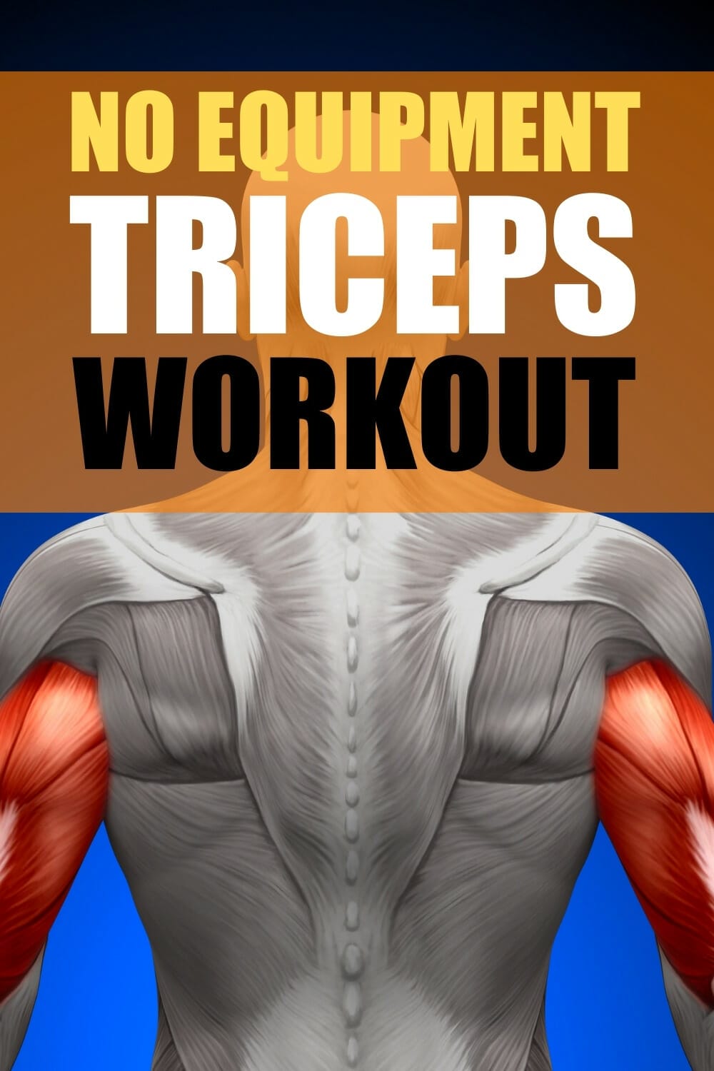 effective triceps exercises no equipment pinterest