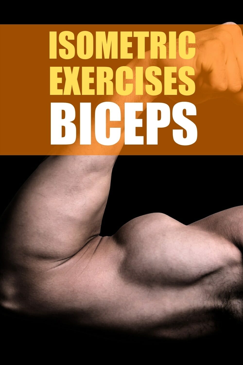 isometric exercises for biceps pinterest